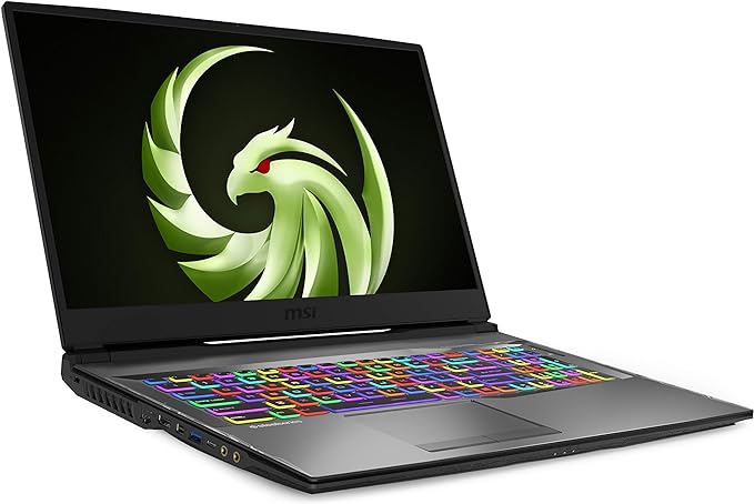 MSI Alpha 17 Ryzen 7 4800H 16GB 512GB SSD 6GB Radeon RX 5600M 17.3" FreeDOS Gaming Notebook