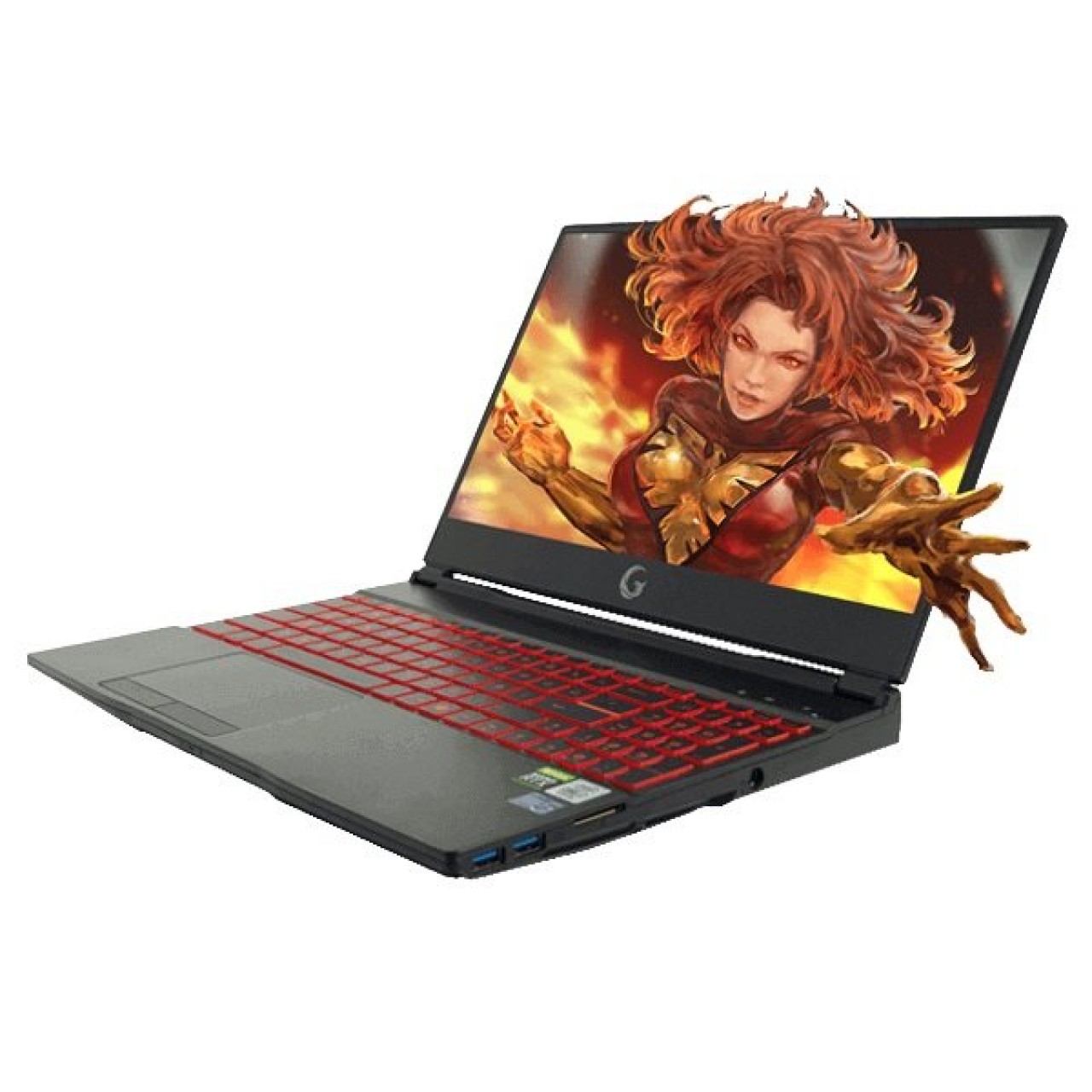 Game Garaj Fenix 10TN-C01 i7-10750H 16GB 512GB SSD RTX2070 15.6" Full HD Oyuncu Notebook